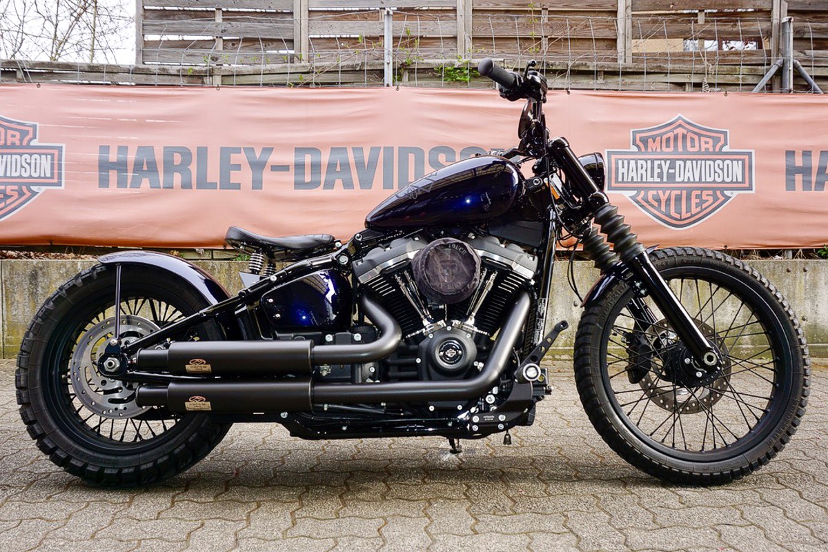 Softail Standard